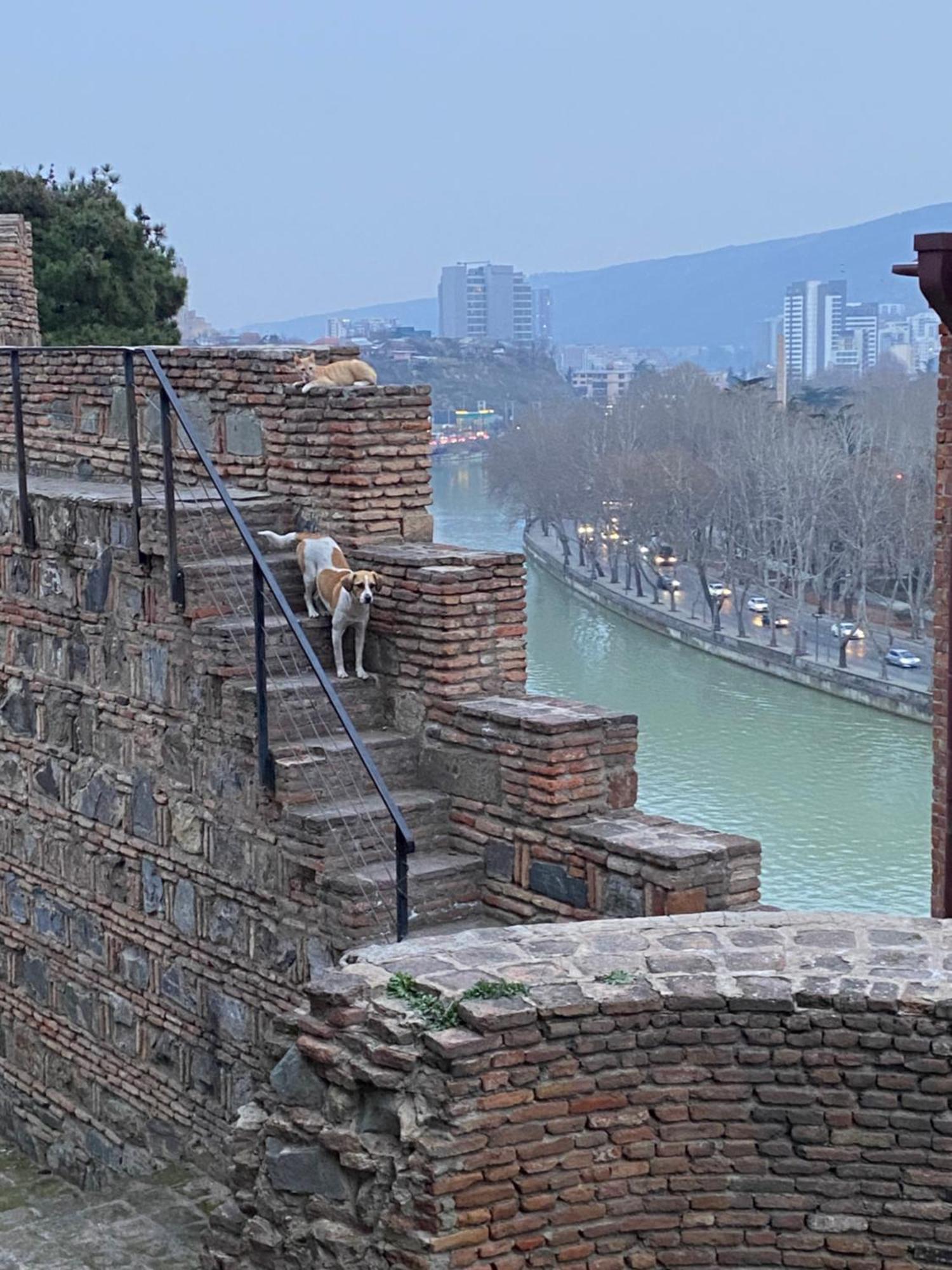 Tbili Metekhi Boutique Hotel Tbilisi Eksteriør bilde